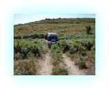 SardKors2010- (106)-web1.jpg